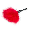 Tickler Red Small